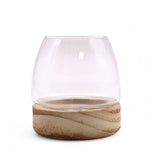 Mini Terrarium on Natural Tung Wood