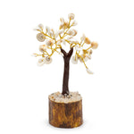 Med Gomati Chakra Circle Stone Tree - (45 stones)