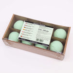 Essential Oil Bath Bomb - Rosemary & Thyme