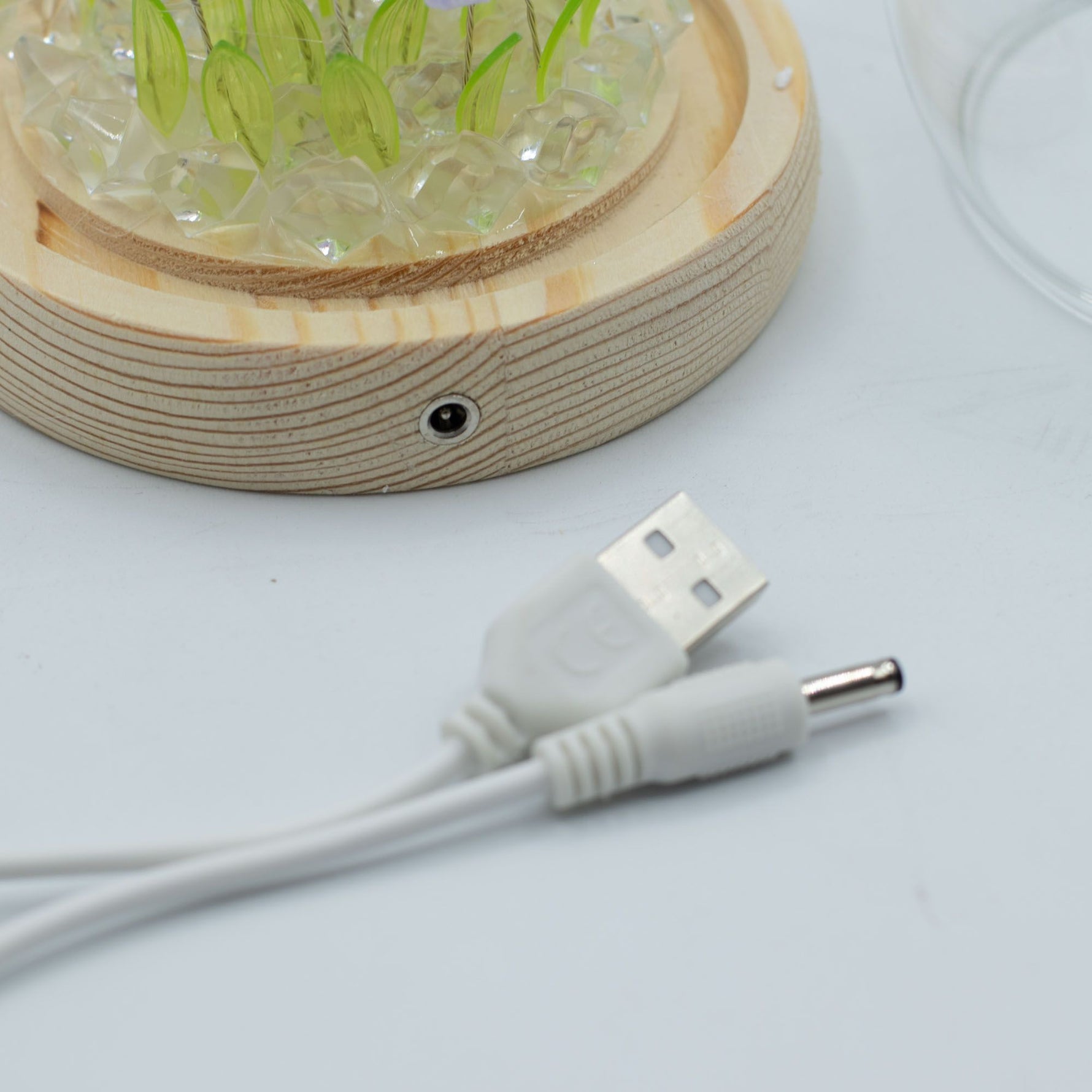Floral Glow Garden Dome - 20 Tulips - LED USB