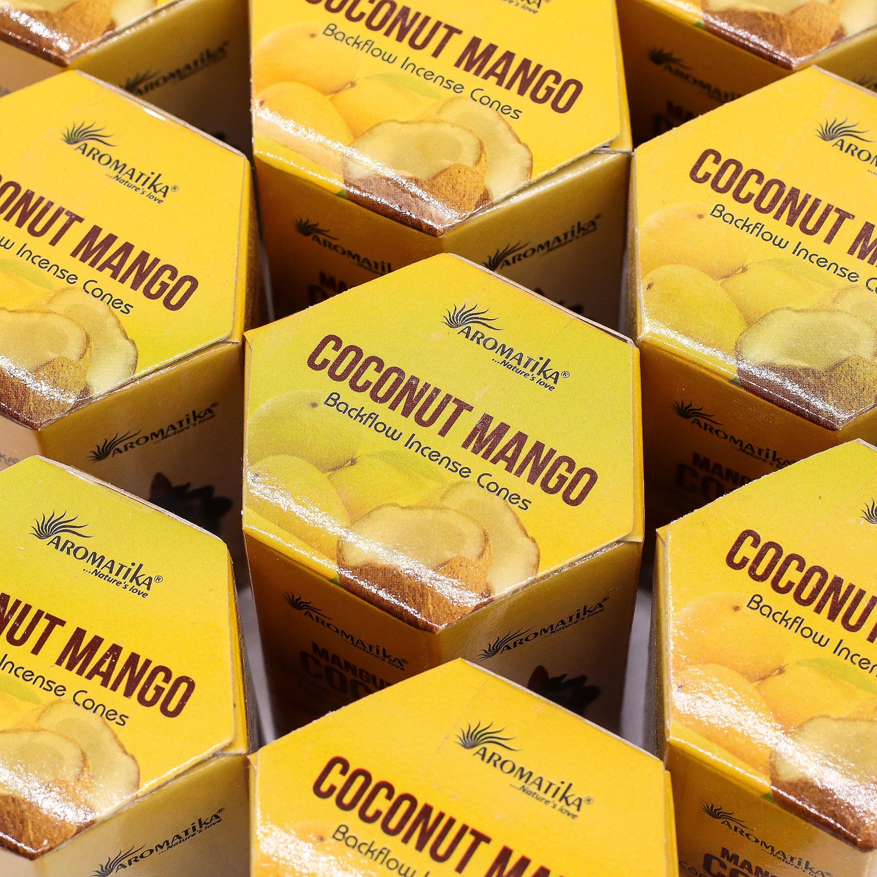 Pack of 10 Masala Backflow Incense - Coconut & Mango
