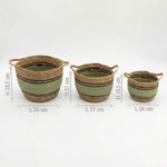 Cotton & Seagrass Large Baskets - Natural Black & Green- Set of 3