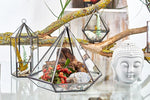 Glass Terrarium - Small Diamond