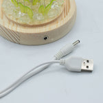 Floral Glow Garden Dome - 20 Sunflower - LED USB